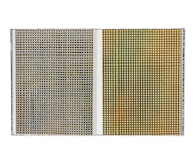 MORE DIMENSIONS THAN YOU KNOW: JACK WHITTEN, 1979–1989